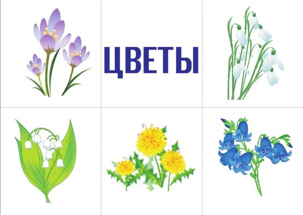 Весенние цветы карточки для детей