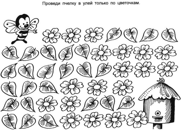 Задания для дошкольников