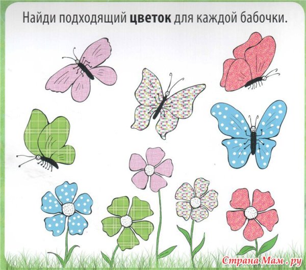 Бабочки задания для детей