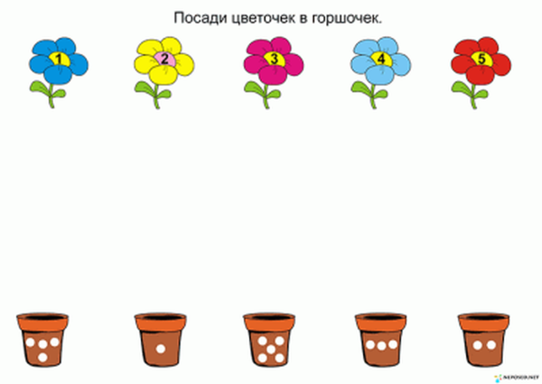 Комнатные растения задания для дошкольников