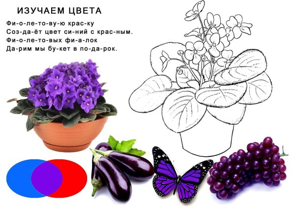 Стихи для изучения цветов для малышей