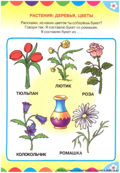 Цветы задания для детей 3 лет
