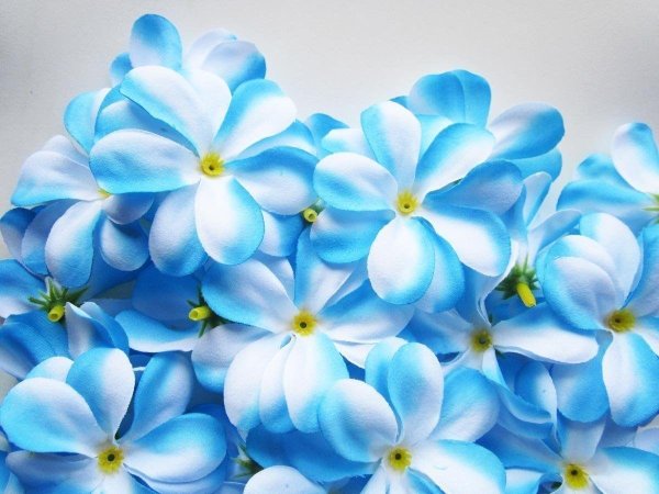 С днем рождения синие цветы - 63 фото