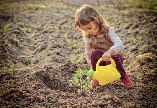 Огород для детей