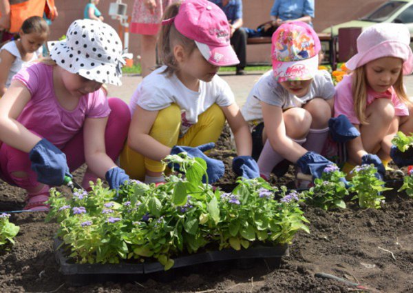 Посадка растений в детском саду