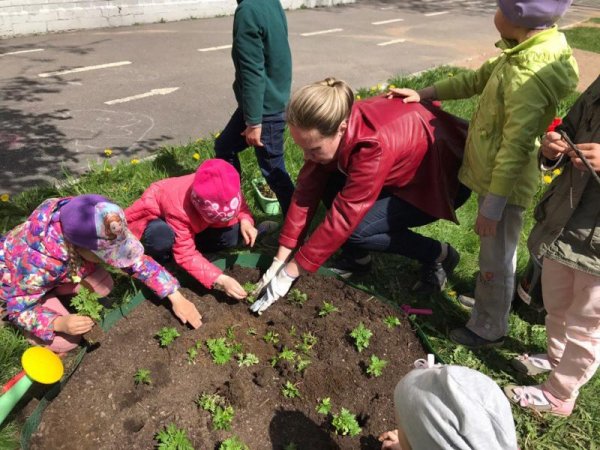 Посадка цветов в ДОУ С детьми