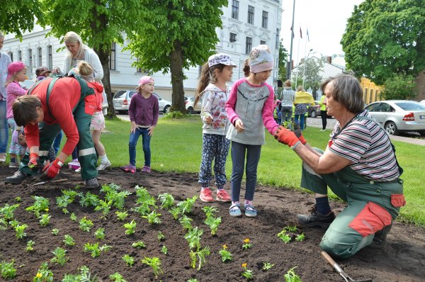 Посадка растений для детей
