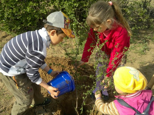 Экология для дошкольников