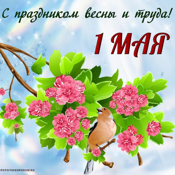 1 Мая праздник весны и труда
