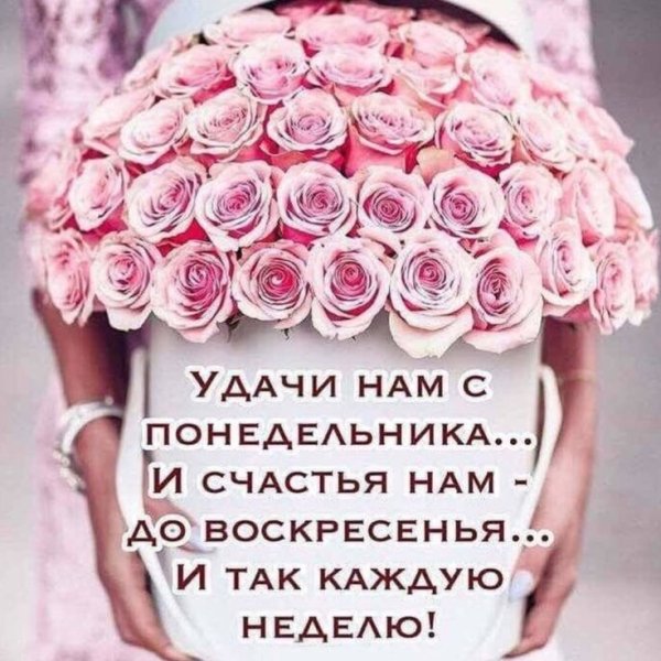 Доброе утро понедельника цитаты