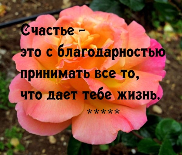 Картинки про счастье с надписями