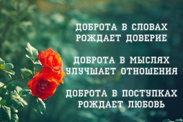 Красивые добрые высказывания