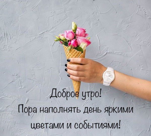 Цитаты на каждый день