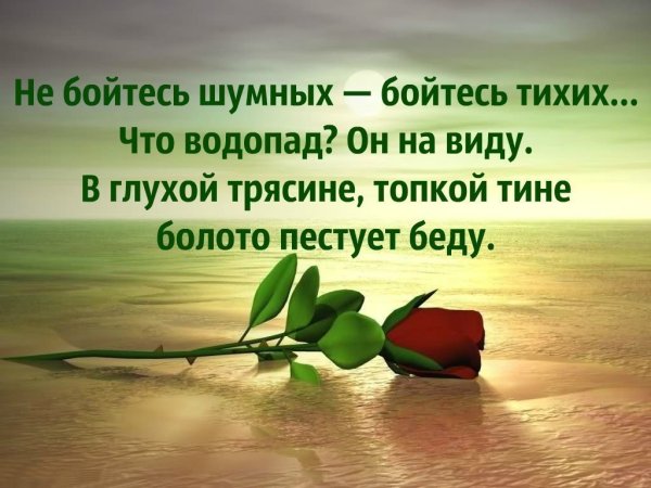 Цветы статусы и цитаты