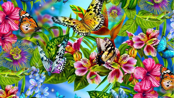 открытки бабочки рождения