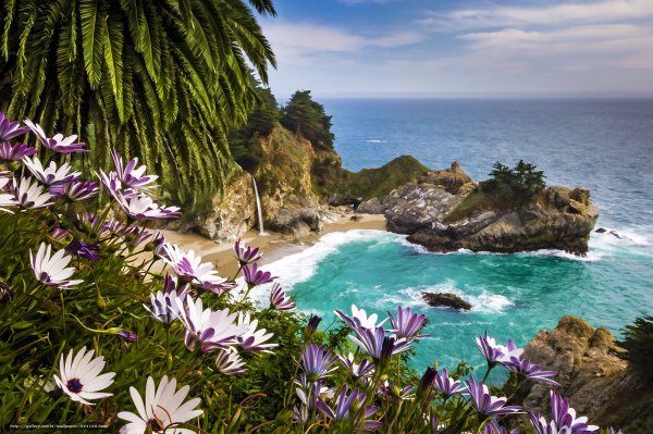 Море горы пальмы цветы