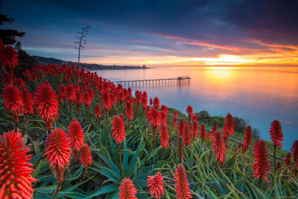 Рассвет на море