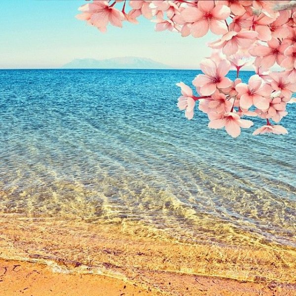 Голубое море