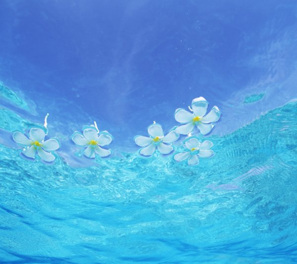 Голубое море