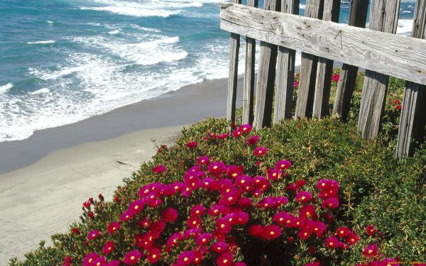 Морской заповедник Саут-Уотер-Кей,