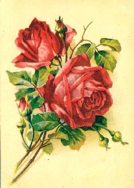 Советские открытки с розами