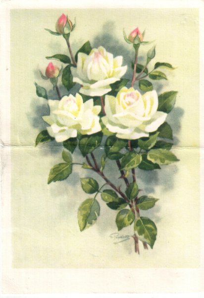 Советские открытки с цветами