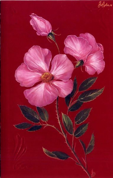 Открытки СССР цветы