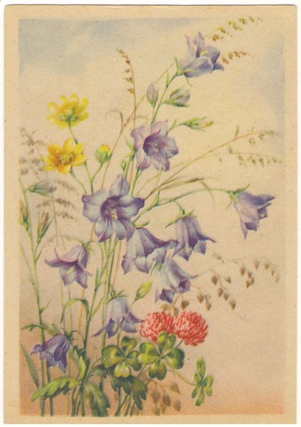 Старинные открытки цветы