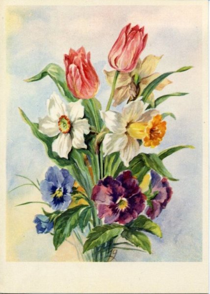 Старинные открытки с тюльпанами
