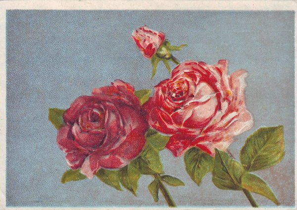 Открытки с розами советских времен