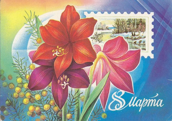 Открытки с 8 марта с книгой