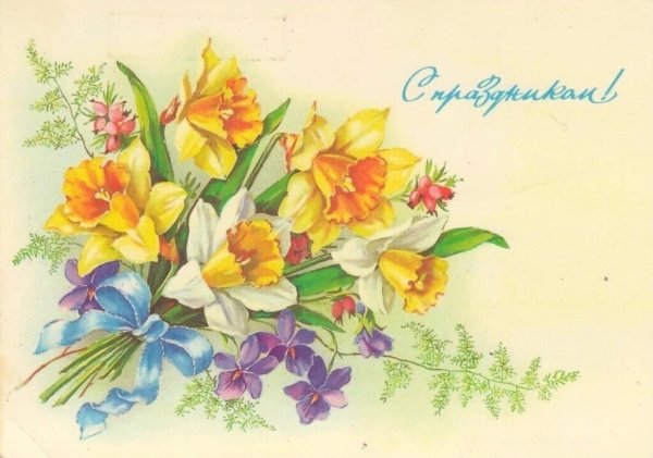 Открытка «Нарцисс»