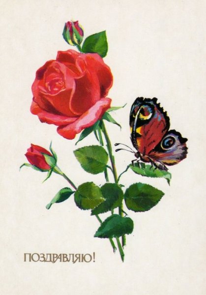 Открытки с цветами СССР