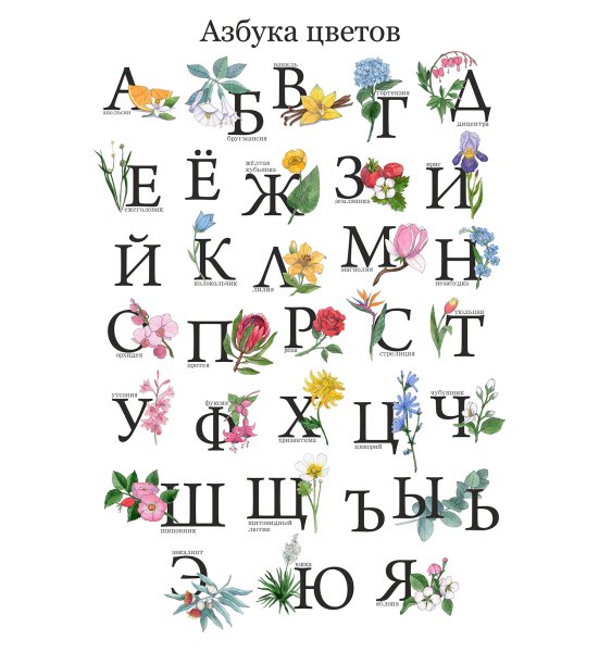 Цветы на каждую букву алфавита