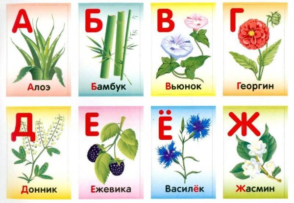 Цветы названия