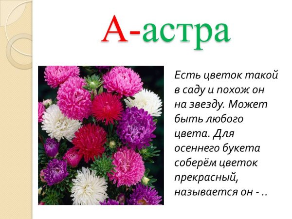 Цветы названия на английском