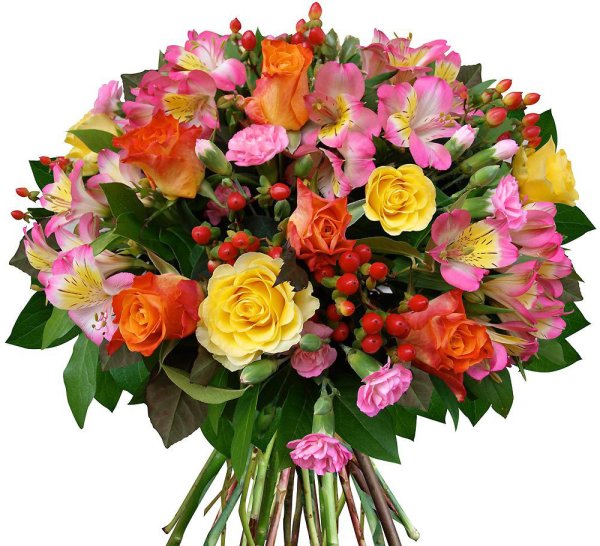 Калла Зантедеския Zantedeschia aethiopica