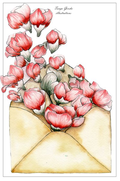 Цветы тюльпаны в конверте