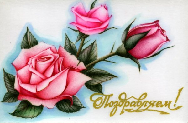 Конвертик с цветами акварель