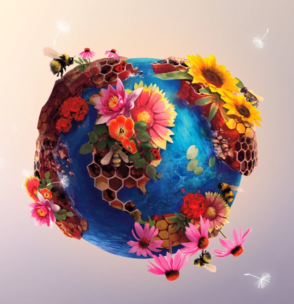 Планета в цветах