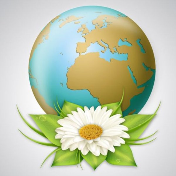 Цветок на земле