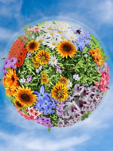 Цветущая Планета