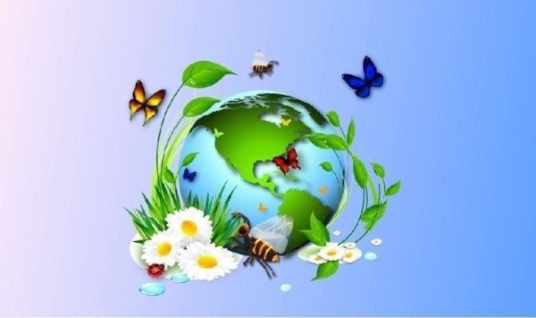 Животные земли