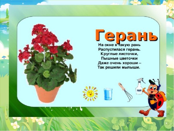 Труд в детском саду
