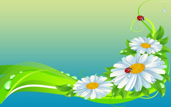 Карточки с изображением цветов