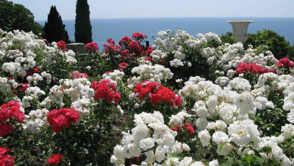 Парк Чаир Крым