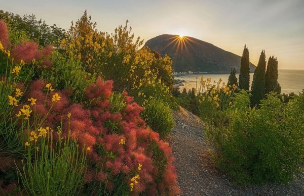 Гурзуф Крым природа