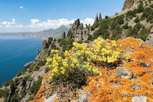 Карадагский природный заповедник