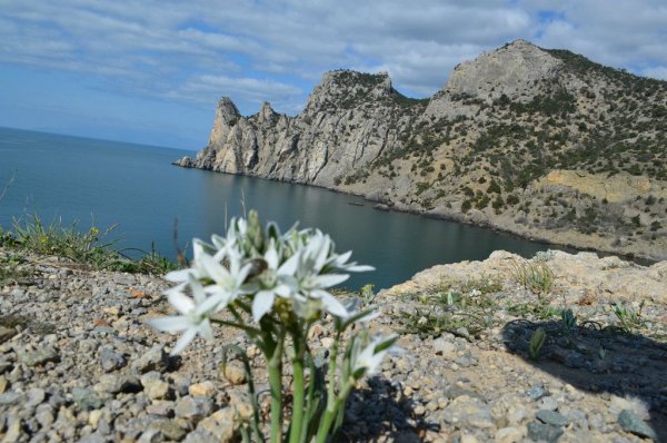 Алчак Весна Крым