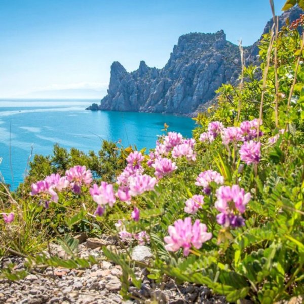 Весна море новый свет Крым